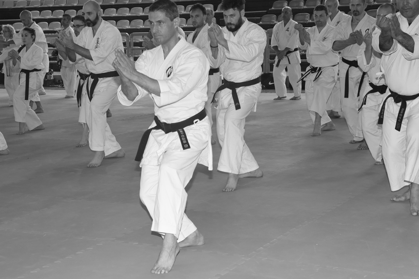 Le origini del karate, i kata e l'anello mancante